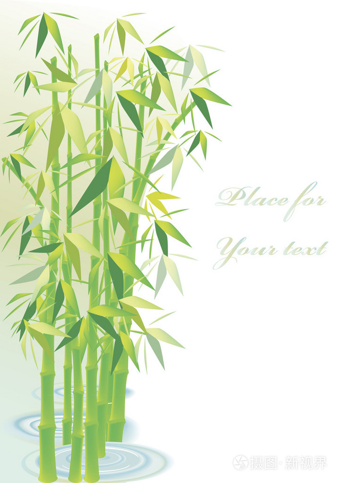 竹子背景插画-正版商用图片024z0q-摄图新视界