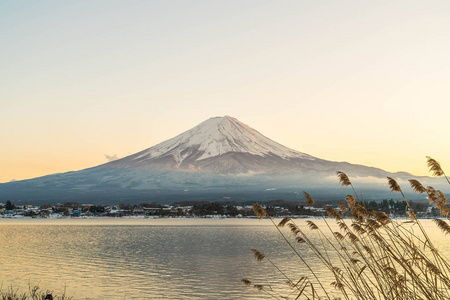 在河口湖山富士 San