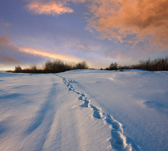 草原上的雪道