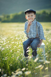 可爱英俊的男孩穿着牛仔裤和衬衫坐在木椅上的草地上 chamomiles 雏菊和微笑享受夏日在 vallage 农场
