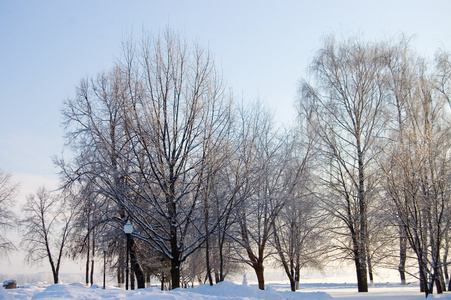 蓝蓝的天空背景冬天的雪树枝