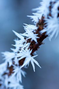 气象学冰晶，冰晶体 亦称作 ice needles