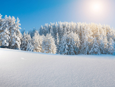 冰雪冬日森林与蓝天