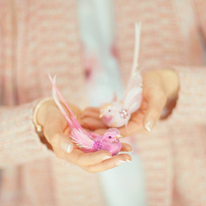 手捧着小人造鸟的女人手, 淡淡的粉色柔和的颜色可以用作浪漫的背景