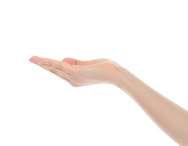 棕榈树起来图片