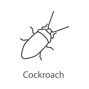 蟑螂线性图标