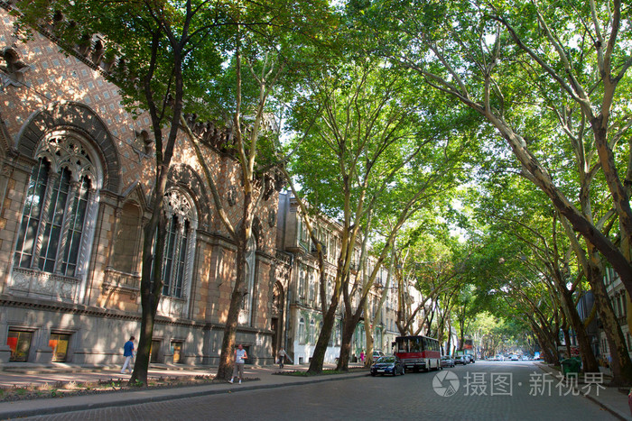 阴暗城市街道与大树