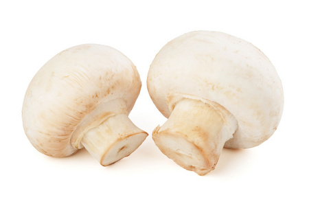孤立在白色背景上的两个香菇