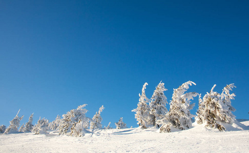 蓝天背景下的高山冬雪景观