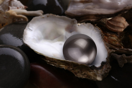 黑色珍珠白色背景上壳中的图像