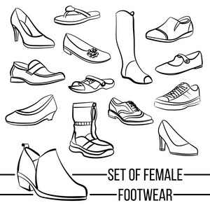 矢量绘制妇女鞋类系列