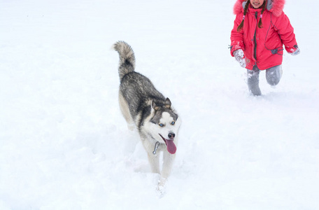 一个穿着粉红色夹克的女孩在雪地里奔跑, 正在喂胡