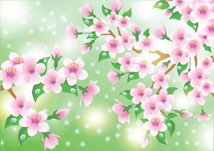 弹簧卡用樱花鲜花。矢量插画