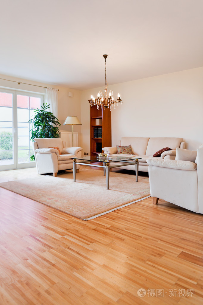 现代的房子,客厅与现代家具