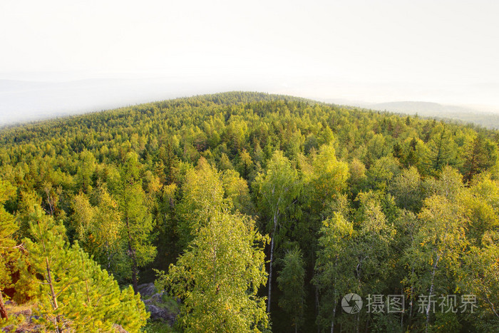 山地森林的全景视图
