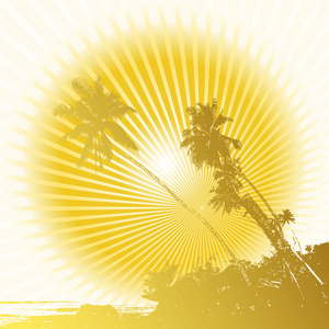 棕榈和太阳