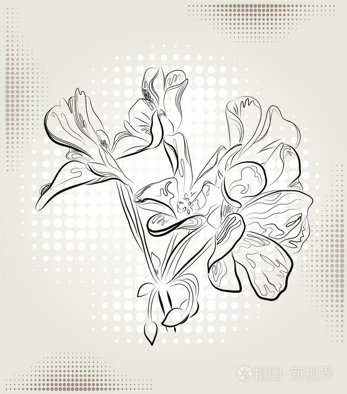 抽象背景上的天竺葵花