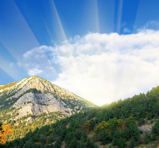 山景全景