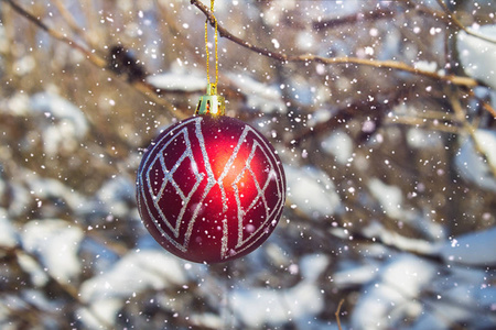 一个红色的新年球挂在一个树枝上下雪。圣诞玩具
