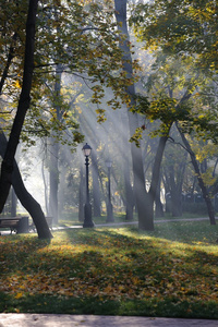 秋天。 莫斯科沙皇公园的黎明。 桥梁。 俄罗斯