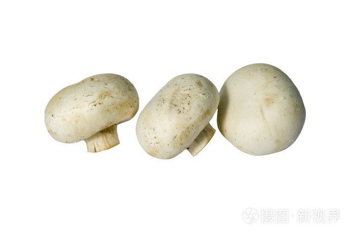 蘑菇( mushroom的名词复数 ) 如蘑菇般生长迅速的事物