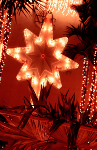 关闭装饰圣诞树上的星星视图