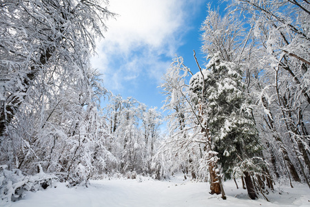 冰雪覆盖的冬季大地