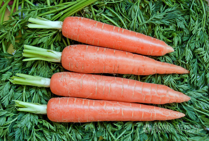 新鲜成熟的生胡萝卜