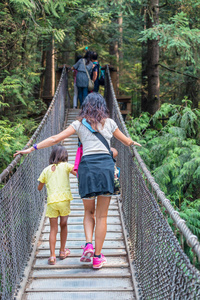 参观北卡皮拉诺吊桥公园的游客图片