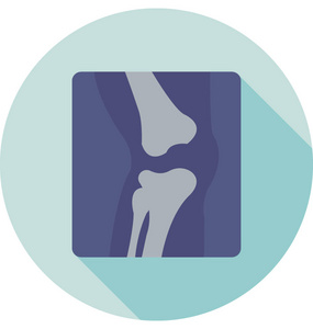 骨关节矢量图片