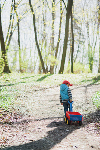 那男孩在森林的小路上开着一辆红色的马车。