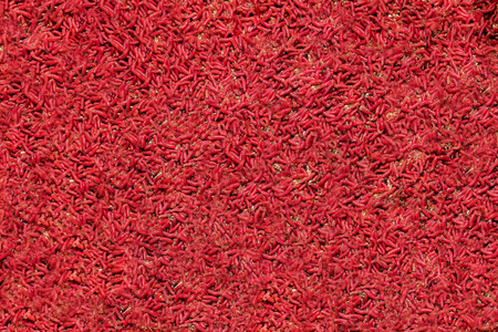 红蛆大堆蠕虫摄影图