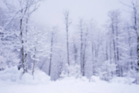 模糊的冬天背景与下落的雪在森林里, 圣诞卡