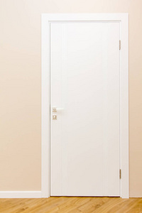 新公寓的门房子的外部.向量.现代化的住宅小屋.家庭门面.