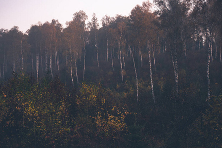 喀尔巴阡山和秋天的荒野
