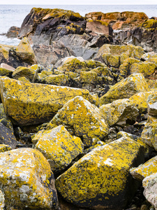 英高弗湾海岸的石头