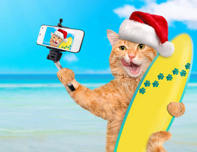 美丽的冲浪者猫在海滩采取拍照和智能手机上。圣诞节