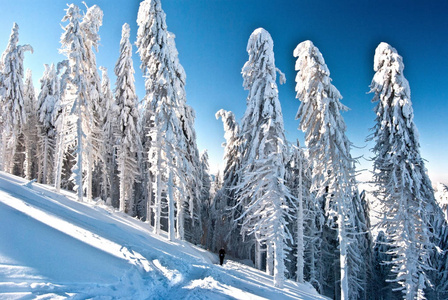 Beskids 山冰封冬林