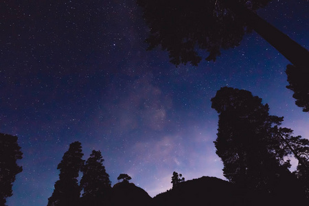 山上有银河和一些树的夜景