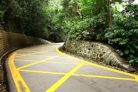 黄线道路