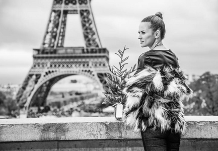 现代时尚在巴黎, 法国的毛皮大衣与圣诞树的贩子看着距离