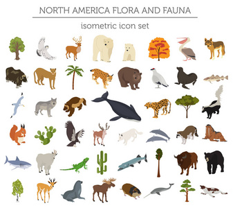 等距3d 北美洲植物群和动物区系元素。动物, bi