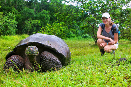 加拉帕戈巨龟 模糊背景中的年轻女子