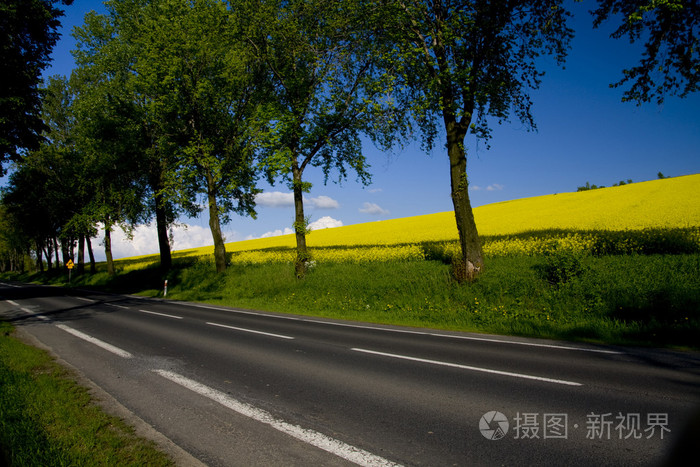 公路上的风车