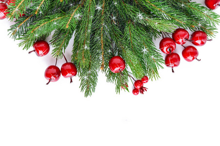 绿色的云杉树枝, 在白色的背景上点缀着浆果。新年, 圣诞装饰。节日主题