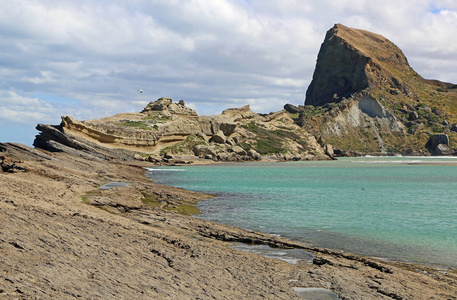 悬崖和城堡岩石Castlepoint, 新西兰