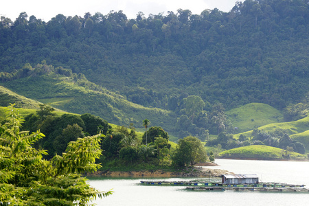 婆罗洲丛林中的蓝色湖泊