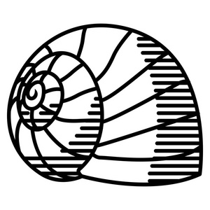 蜗牛壳线描图片