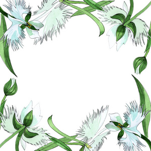 水彩风格野花兰花框架