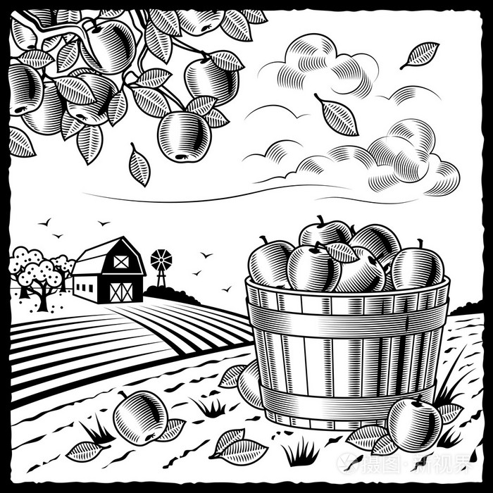 苹果收获黑白的景观插画-正版商用图片028jiw-摄图新视界